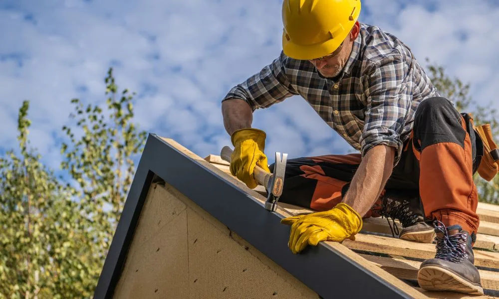 Dry Rot Repair Contractors: What to Look for and Why the Right Choice Determines Whether the Problem Comes Back