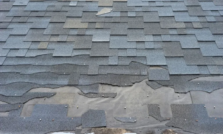 Red Flags That Your Roof Needs Immediate Attention in Dallas 