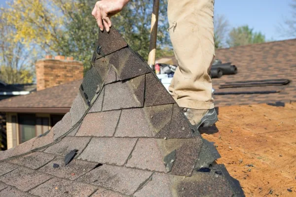 7 Things to Look for in a Reliable Specialist for Roof Repair