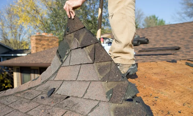 7 Things to Look for in a Reliable Specialist for Roof Repair