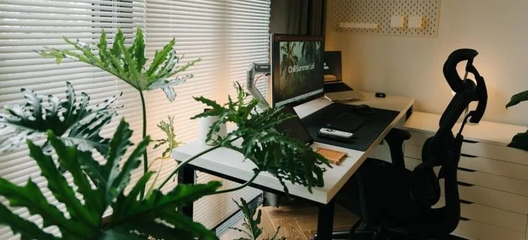 a plant next to a working desk
