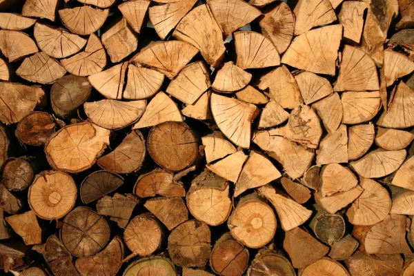 Sustainable Wood Is the Future of Home Design