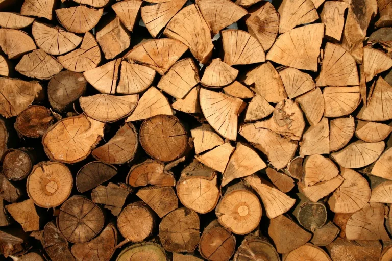 Sustainable Wood Is the Future of Home Design
