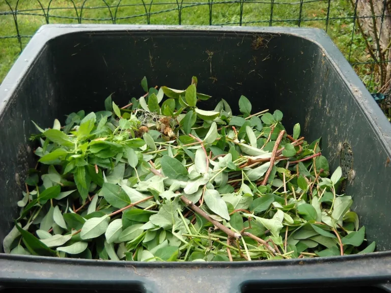 Easy Landscaping Tips For Crisp Yard Edges