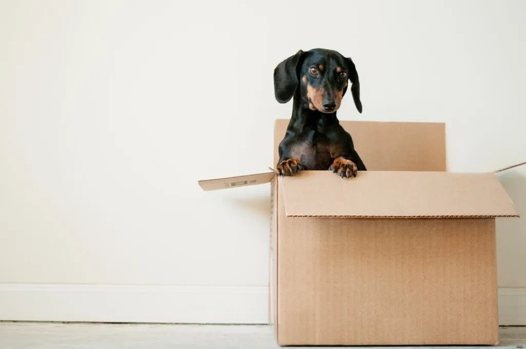 Preparing Your Property for a Move