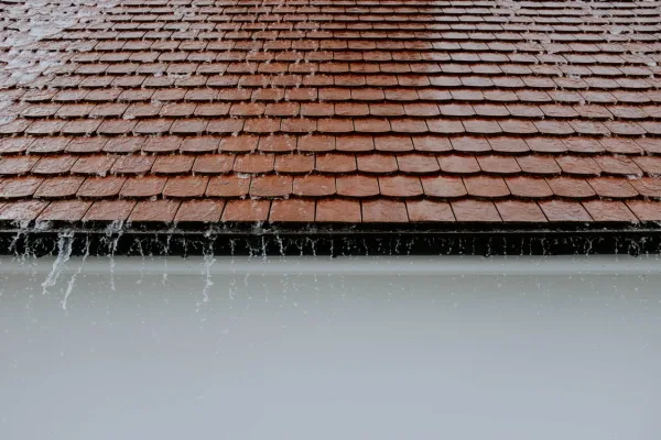 Protect Your Roof from Water Damage