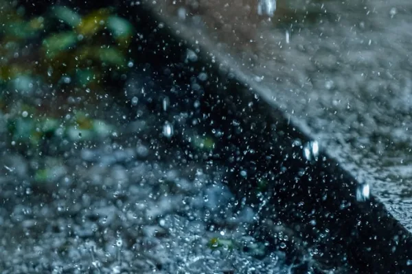 Homeowner’s Guide to Trench Drain
