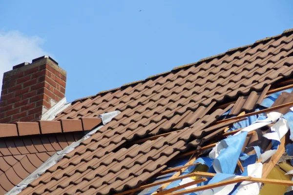 Roof Care Tips