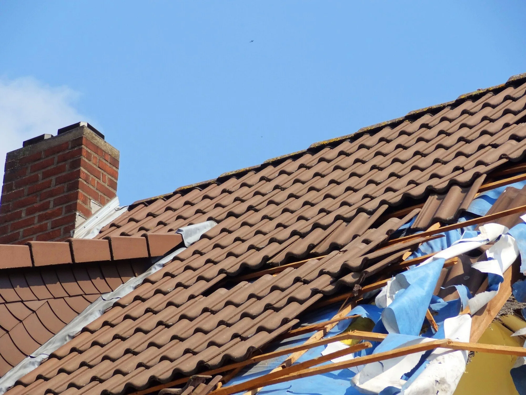 Roof Care Tips