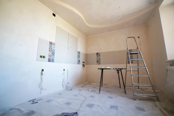 Pest-Free Renovation