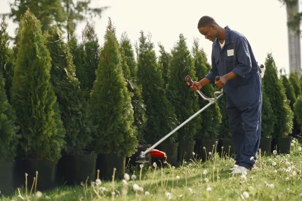 Drives Homeowners to Contact One Landscaper