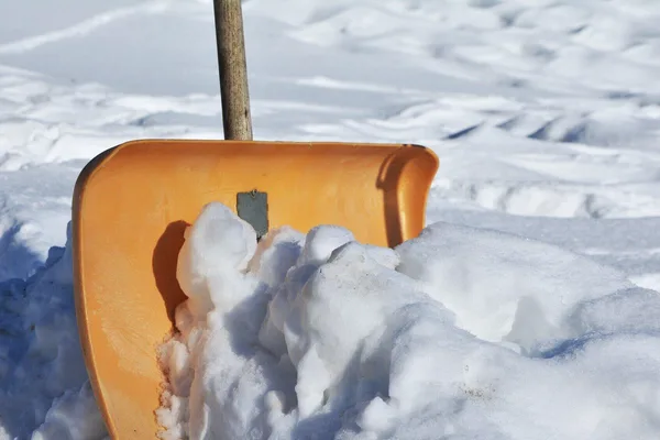 Right Snow Plow for Your Outdoor Needs