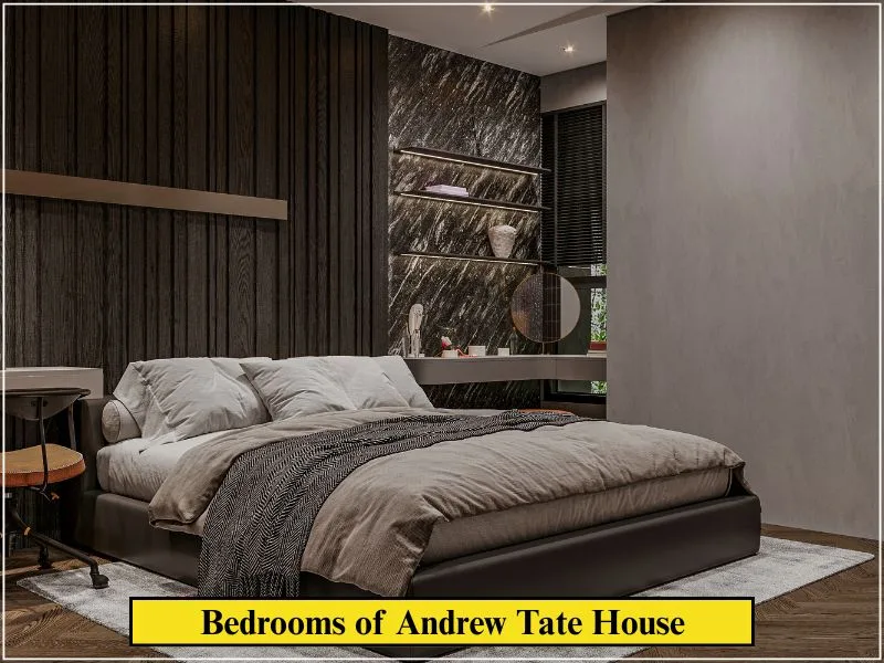 Andrew Tate House: Inside His Romania Mansion & Luxury Life 5 Kitchen of Andrew Tate House 1 1