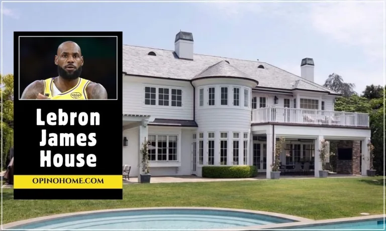 Lebron James House